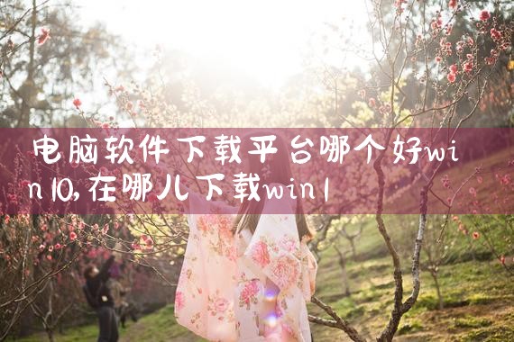 电脑软件下载平台哪个好win10|杏吧