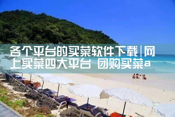 各个平台的买菜软件下载|抖阴