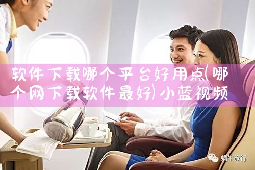 软件下载哪个平台好用点|小蓝视频
