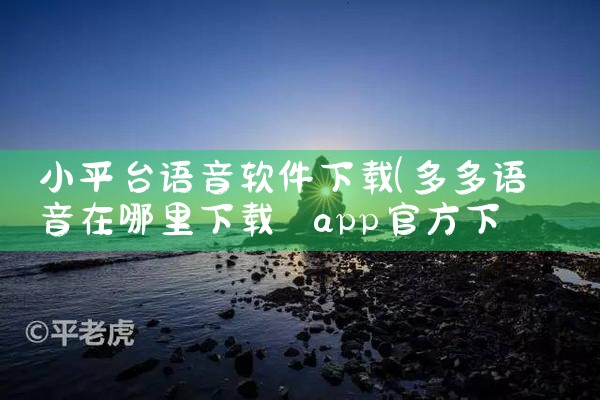 小平台语音软件下载|小蓝视频