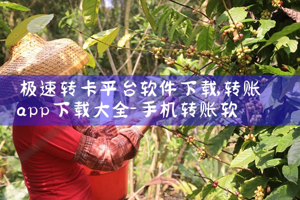 极速转卡平台软件下载|小蓝视频