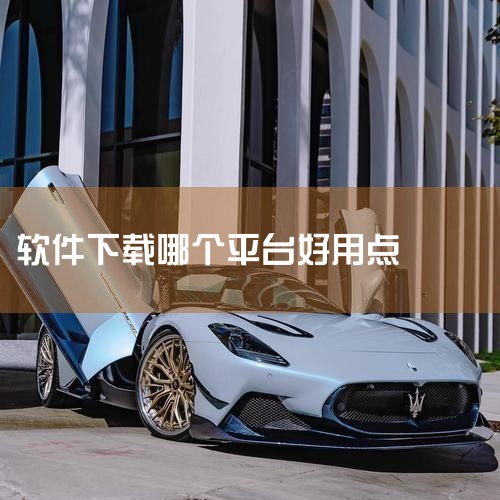 电脑上那个app下载软件最好|电脑下载助手哪个好用|小蓝视频