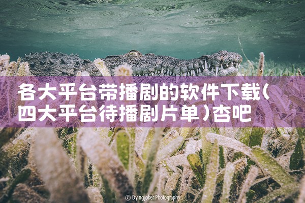各大平台带播剧的软件下载|杏吧