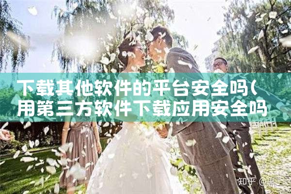 下载其他软件的平台安全吗|杏吧