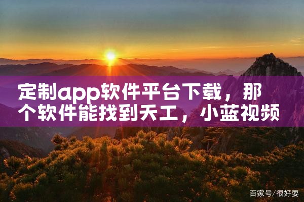 定制app软件平台下载|小蓝视频